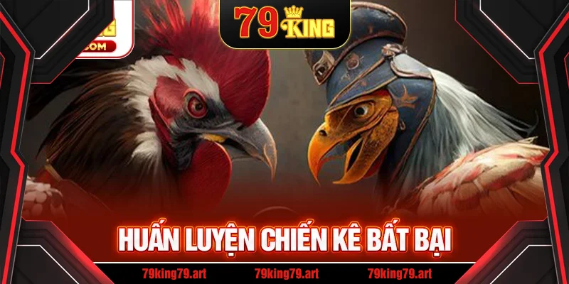 Huấn luyện chiến kê bất bại