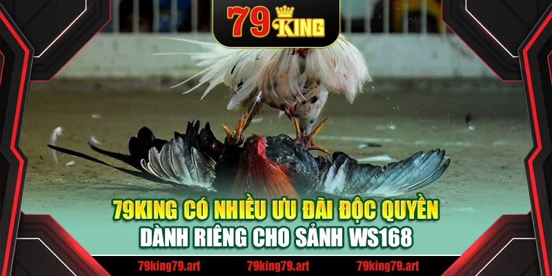 79King có nhiều ưu đãi độc quyền dành riêng cho sảnh WS168 79King có nhiều ưu đãi độc quyền dành riêng cho sảnh WS168