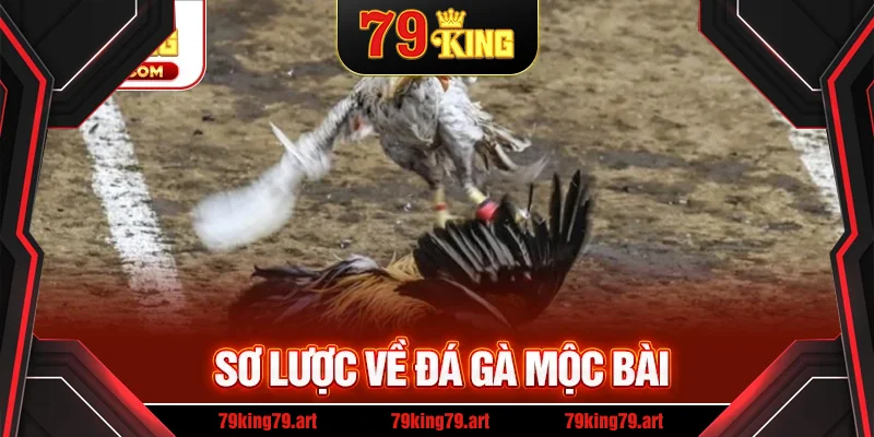 Sơ lược về đá gà mộc bài