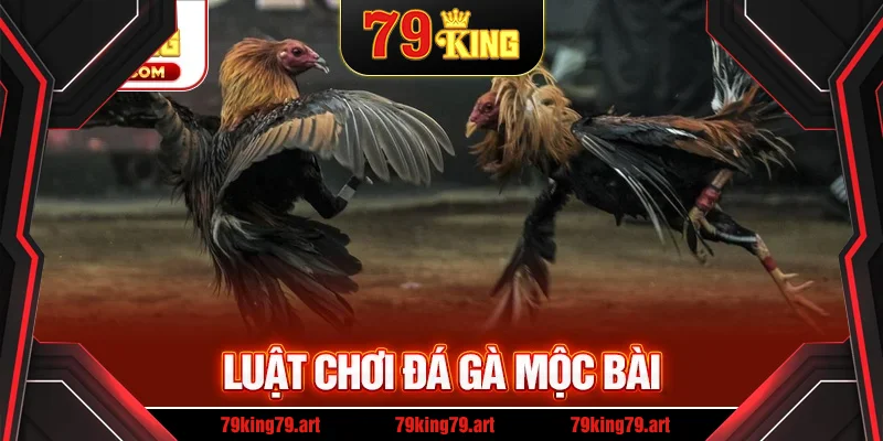 Luật chơi mà bạn nên biết khi tham gia