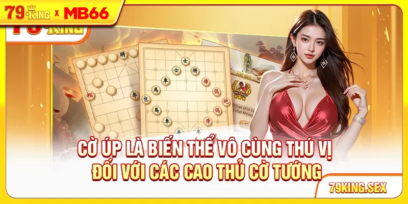 Cờ úp là biến thể vô cùng thú vị đối với các cao thủ cờ tướng