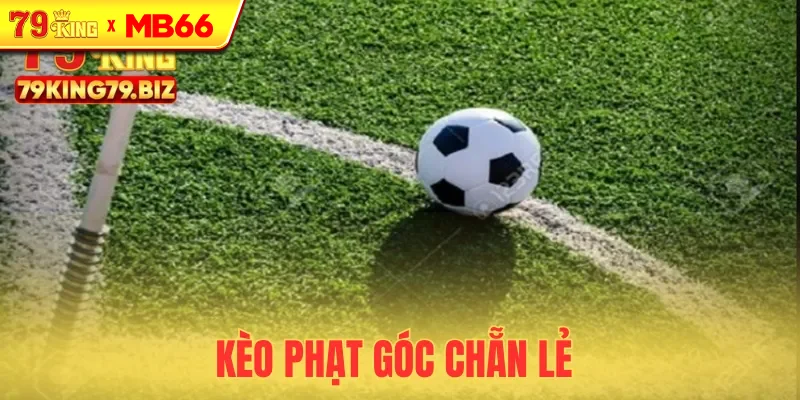 Phạt góc chẵn lẻ tỷ lệ ăn cao đến 50% Phạt góc chẵn lẻ tỷ lệ ăn cao đến 50%