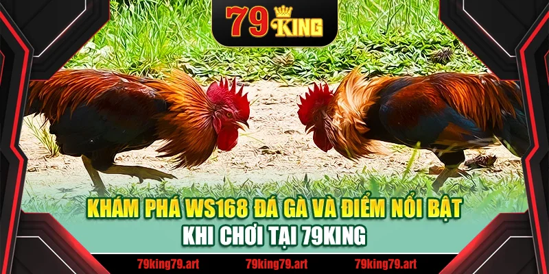 Khám phá WS168 đá gà và điểm nổi bật khi chơi tại 79King Khám phá WS168 đá gà và điểm nổi bật khi chơi tại 79King