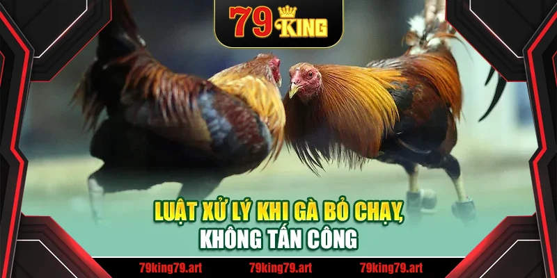 Luật xử lý khi gà bỏ chạy, không tấn công Luật xử lý khi gà bỏ chạy, không tấn công