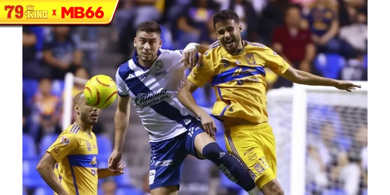 Màn thư hùng đỉnh cao giữa Tigres UANL vs Puebla Màn thư hùng đỉnh cao giữa Tigres UANL vs Puebla
