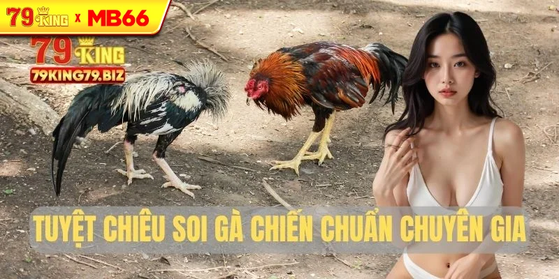 Tuyệt chiêu soi gà chiến chuẩn chuyên gia Tuyệt chiêu soi gà chiến chuẩn chuyên gia
